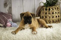 processed/a8691734-ec5d-4cae-919c-f7c884b6b56d/listing/3f14e84f-7223-439a-aa99-8a543c00d46a/24af4b50-b3ff-4469-95b8-706afd8e3552