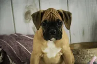 processed/a8691734-ec5d-4cae-919c-f7c884b6b56d/listing/3f14e84f-7223-439a-aa99-8a543c00d46a/a1fec9f6-3e7c-4016-8773-9f8528c9adcb