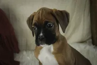 processed/a8691734-ec5d-4cae-919c-f7c884b6b56d/listing/47a901d5-4db2-4733-9144-6909556344e7/09a57db7-78ba-40c3-9ff4-b763194865e5