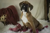 processed/a8691734-ec5d-4cae-919c-f7c884b6b56d/listing/47a901d5-4db2-4733-9144-6909556344e7/0d99cf35-3356-48d0-a67b-6d0b06a059a7