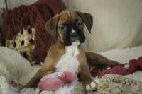 processed/a8691734-ec5d-4cae-919c-f7c884b6b56d/listing/47a901d5-4db2-4733-9144-6909556344e7/18a8becd-21e9-482a-9496-f58ec3d66dd7