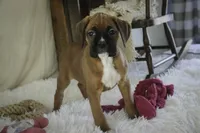 processed/a8691734-ec5d-4cae-919c-f7c884b6b56d/listing/47a901d5-4db2-4733-9144-6909556344e7/38158895-cb2c-42ba-806b-2b85a2fe63a6