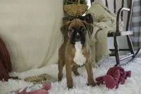 processed/a8691734-ec5d-4cae-919c-f7c884b6b56d/listing/47a901d5-4db2-4733-9144-6909556344e7/6daed53f-de7b-4916-9193-873220614371