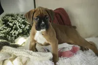 processed/a8691734-ec5d-4cae-919c-f7c884b6b56d/listing/47a901d5-4db2-4733-9144-6909556344e7/fee92179-3f9b-496a-b7c1-d9d769bd6bf0