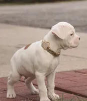 processed/a8691734-ec5d-4cae-919c-f7c884b6b56d/listing/6a8636af-2429-48ed-aecc-6a86d1e50932/589aa60f-8d9d-4cd1-9930-99ec2bc43ead