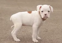 processed/a8691734-ec5d-4cae-919c-f7c884b6b56d/listing/6a8636af-2429-48ed-aecc-6a86d1e50932/59d76301-9a92-430c-b981-f3afc6acf5b3