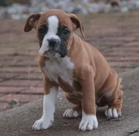 processed/a8691734-ec5d-4cae-919c-f7c884b6b56d/listing/6cbc5f54-ffde-43ba-8200-edbb4f3a32f7/2d078c86-7e0a-4ff5-9614-74daa70ed311