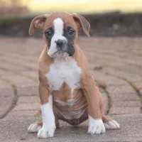 processed/a8691734-ec5d-4cae-919c-f7c884b6b56d/listing/6cbc5f54-ffde-43ba-8200-edbb4f3a32f7/4b8ea289-db91-475d-bbad-afbd719695da