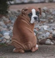 processed/a8691734-ec5d-4cae-919c-f7c884b6b56d/listing/6cbc5f54-ffde-43ba-8200-edbb4f3a32f7/90a1336b-fa05-4f23-892f-2a2424f047d3