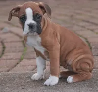 processed/a8691734-ec5d-4cae-919c-f7c884b6b56d/listing/6cbc5f54-ffde-43ba-8200-edbb4f3a32f7/bb08ddb2-679e-42ef-8f44-bcd05114cfd3