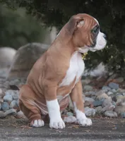 processed/a8691734-ec5d-4cae-919c-f7c884b6b56d/listing/6cbc5f54-ffde-43ba-8200-edbb4f3a32f7/c475add0-a634-43f8-9215-61ea12416892