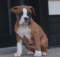 processed/a8691734-ec5d-4cae-919c-f7c884b6b56d/listing/6cbc5f54-ffde-43ba-8200-edbb4f3a32f7/dd167419-f4b0-4ad6-9ea6-f3fcfc60765a