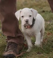 processed/a8691734-ec5d-4cae-919c-f7c884b6b56d/listing/75a573b1-cca9-4f01-ae29-4221be295dad/1ab4dc93-f806-45b4-b773-130fb3369ba8