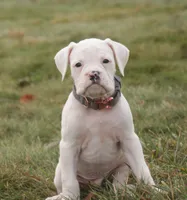 processed/a8691734-ec5d-4cae-919c-f7c884b6b56d/listing/75a573b1-cca9-4f01-ae29-4221be295dad/46fc5a7d-dbaa-4fe8-9999-f1c39d2e85e3