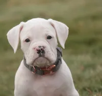 processed/a8691734-ec5d-4cae-919c-f7c884b6b56d/listing/75a573b1-cca9-4f01-ae29-4221be295dad/72eaceb5-c7a8-4df1-ad62-0cb1a6fa6462