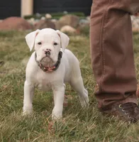 processed/a8691734-ec5d-4cae-919c-f7c884b6b56d/listing/75a573b1-cca9-4f01-ae29-4221be295dad/c835109f-1e33-4c6a-99f0-f856387eab92