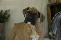 processed/a8691734-ec5d-4cae-919c-f7c884b6b56d/listing/77d67ce3-cc05-4138-aa11-69f4b9098f57/3cba1fad-dfe8-41fe-8ca5-f607775f3644