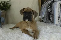 processed/a8691734-ec5d-4cae-919c-f7c884b6b56d/listing/77d67ce3-cc05-4138-aa11-69f4b9098f57/66bf7101-d3ad-45c6-9b76-d52a9a7dd5c8