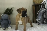 processed/a8691734-ec5d-4cae-919c-f7c884b6b56d/listing/77d67ce3-cc05-4138-aa11-69f4b9098f57/7883e0bb-d66d-42a3-b724-c0ce07cb1756