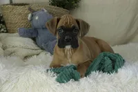 processed/a8691734-ec5d-4cae-919c-f7c884b6b56d/listing/77d67ce3-cc05-4138-aa11-69f4b9098f57/7ea48fca-48b1-49af-bbd5-6d0b5ceb59e4