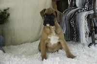 processed/a8691734-ec5d-4cae-919c-f7c884b6b56d/listing/77d67ce3-cc05-4138-aa11-69f4b9098f57/b715e323-84ff-45b8-abb8-ecfa66f35540