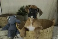 processed/a8691734-ec5d-4cae-919c-f7c884b6b56d/listing/77d67ce3-cc05-4138-aa11-69f4b9098f57/e2145b5b-86b4-4aaa-8e2c-66dc07df9dad