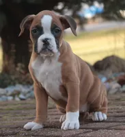 processed/a8691734-ec5d-4cae-919c-f7c884b6b56d/listing/862e8601-7e58-4570-a4d4-80cd5058a335/4d12fe3c-87ec-4c37-8a74-02fbaaaefdb2