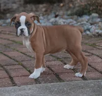 processed/a8691734-ec5d-4cae-919c-f7c884b6b56d/listing/862e8601-7e58-4570-a4d4-80cd5058a335/8aa2305e-31ec-400d-a0bd-5aac1b44dc5c