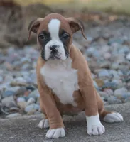 processed/a8691734-ec5d-4cae-919c-f7c884b6b56d/listing/862e8601-7e58-4570-a4d4-80cd5058a335/ef1e49a2-9e37-486f-ad3c-61c3c0f48b67