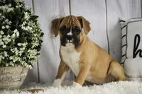 processed/a8691734-ec5d-4cae-919c-f7c884b6b56d/listing/90d62af8-f006-459c-889a-d5b1f1ddc8f7/01b6ef65-b287-4804-859b-939d52f0cea7