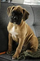 processed/a8691734-ec5d-4cae-919c-f7c884b6b56d/listing/90d62af8-f006-459c-889a-d5b1f1ddc8f7/72830e1d-e97c-407a-9783-537a94d10e5c