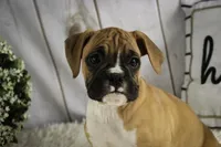 processed/a8691734-ec5d-4cae-919c-f7c884b6b56d/listing/90d62af8-f006-459c-889a-d5b1f1ddc8f7/e8fdf1e5-813b-4d1a-a370-50ce9cc2bcab