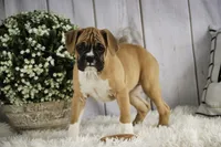 processed/a8691734-ec5d-4cae-919c-f7c884b6b56d/listing/90d62af8-f006-459c-889a-d5b1f1ddc8f7/f1eac80b-653a-41d8-adec-4963cf1b653b