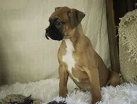 processed/a8691734-ec5d-4cae-919c-f7c884b6b56d/listing/966819f5-c548-4b32-9ca6-503d0c00e442/2b627c31-82f2-48f8-9cb1-546aa7c12cd9