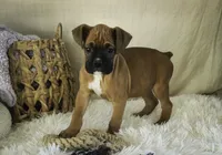 processed/a8691734-ec5d-4cae-919c-f7c884b6b56d/listing/966819f5-c548-4b32-9ca6-503d0c00e442/32a2f7eb-ee76-4a49-89d8-639f7c65489c