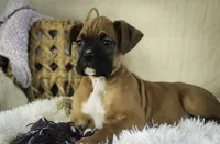 processed/a8691734-ec5d-4cae-919c-f7c884b6b56d/listing/966819f5-c548-4b32-9ca6-503d0c00e442/833838dd-4f00-408f-8d68-767a051f546e