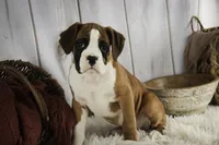 processed/a8691734-ec5d-4cae-919c-f7c884b6b56d/listing/9e6ff4c3-7340-4cc5-af9e-3a510c32619e/3e6c5e5b-ee06-4b8c-9f60-bceff21f535b