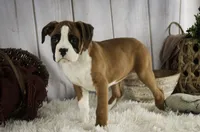 processed/a8691734-ec5d-4cae-919c-f7c884b6b56d/listing/9e6ff4c3-7340-4cc5-af9e-3a510c32619e/79a323d3-5c0c-4d56-94b8-39943ea979a5