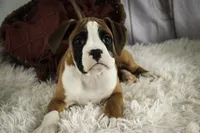 processed/a8691734-ec5d-4cae-919c-f7c884b6b56d/listing/9e6ff4c3-7340-4cc5-af9e-3a510c32619e/975d8ee2-ad70-4bb5-8212-25b9061526bd