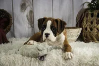 processed/a8691734-ec5d-4cae-919c-f7c884b6b56d/listing/9e6ff4c3-7340-4cc5-af9e-3a510c32619e/987194c4-98d7-457f-bf58-c1990f7fe8bb