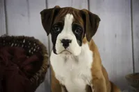 processed/a8691734-ec5d-4cae-919c-f7c884b6b56d/listing/9e6ff4c3-7340-4cc5-af9e-3a510c32619e/b1e89b7b-7eb2-4100-aa46-67599c9b8f0f