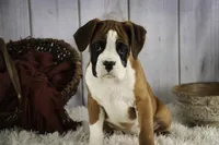 processed/a8691734-ec5d-4cae-919c-f7c884b6b56d/listing/9e6ff4c3-7340-4cc5-af9e-3a510c32619e/ea19c092-9f1c-4d5f-895a-5d8f8fc44de3