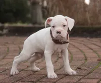 processed/a8691734-ec5d-4cae-919c-f7c884b6b56d/listing/a33aa0d8-c1c2-46c2-8e68-dec3da4f6bb3/72d2b18c-3c25-4e21-ae3b-67555d7f09f0