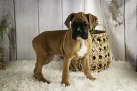 processed/a8691734-ec5d-4cae-919c-f7c884b6b56d/listing/a9373a16-005f-437a-97b8-d6235e4a6290/5761dbe6-717f-4aa6-a87e-d3cb13106693