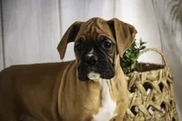 processed/a8691734-ec5d-4cae-919c-f7c884b6b56d/listing/a9373a16-005f-437a-97b8-d6235e4a6290/f9f8b1ce-f764-41ba-84bf-089df09ccdc0