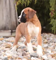 processed/a8691734-ec5d-4cae-919c-f7c884b6b56d/listing/b7618ea0-9d9b-4990-8c26-87d87d0e7eac/59fc4b28-943f-4d19-9759-259dba46342b