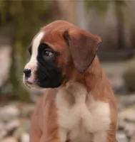 processed/a8691734-ec5d-4cae-919c-f7c884b6b56d/listing/b7618ea0-9d9b-4990-8c26-87d87d0e7eac/71a01090-b14b-4708-9f39-952e6fe096b7