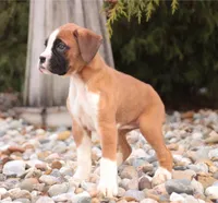 processed/a8691734-ec5d-4cae-919c-f7c884b6b56d/listing/b7618ea0-9d9b-4990-8c26-87d87d0e7eac/f7b5805b-be2f-4780-b9eb-1b0c4497f2a7