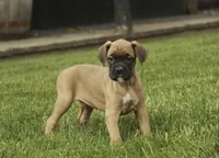 processed/a8691734-ec5d-4cae-919c-f7c884b6b56d/listing/c3c3089e-f5cf-40ea-8269-2ac8f10f821a/a675d0a6-de83-4b6a-9ca2-5ba3758063a9