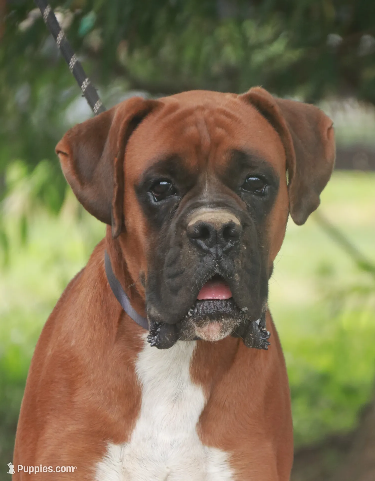 processed/a8691734-ec5d-4cae-919c-f7c884b6b56d/listing/c3c3089e-f5cf-40ea-8269-2ac8f10f821a/d0dba3c3-11bf-4d91-bffd-95e2c4296322